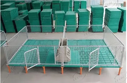 Optimized Pig Farming Equipment and Technology