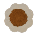 Bulk Hericium Erinaceus Mushroom Extract