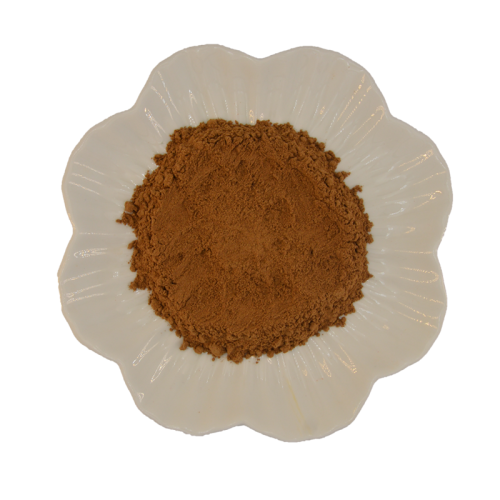 Hericium Erinaceus Extract Bulk Hericium Erinaceus Mushroom Extract Supplier