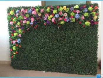 Cheaper price artificial green wall artificial plants wall for indoor decoration