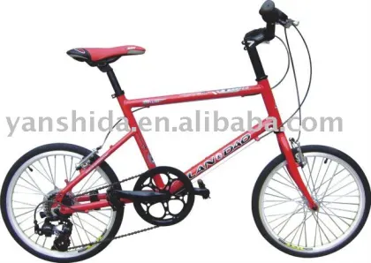 Racing Bicycle
