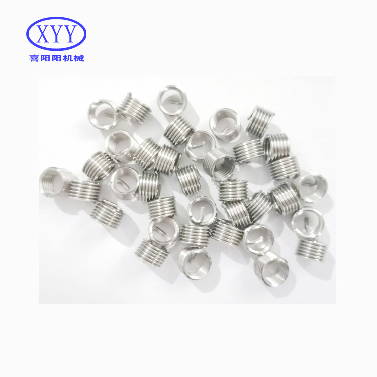 Custom Size 304SS Steel Stainless Steel Plastic Aluminum Zinc Alloy Thread Insert M10 M2 M6 Fasteners Screw Reliable Supplier