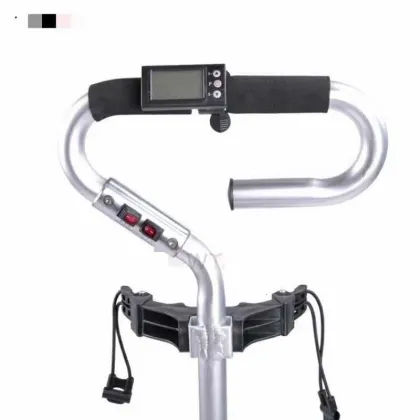 HOWTRUE GOLF ELECTRIC SCOOTER