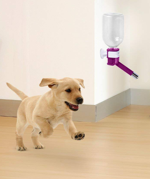 No Drip Pet Dispenser Bottle