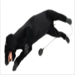 Electronic dog cardiopulmonary resuscitation model