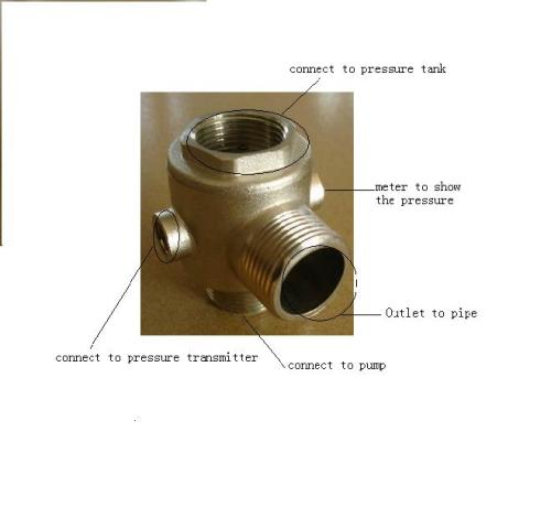 Check Valve