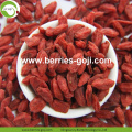 Fabriek Groothandel Super Food Nutrition Ningxia Goji Berry