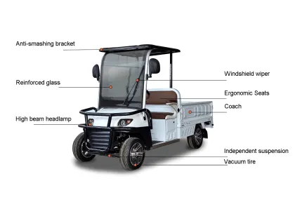 Electric Golf Cart with Cargo Box - Golf Vehicle