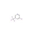 3-cloro-5- (Trifluorometil) Piridina Intermediários