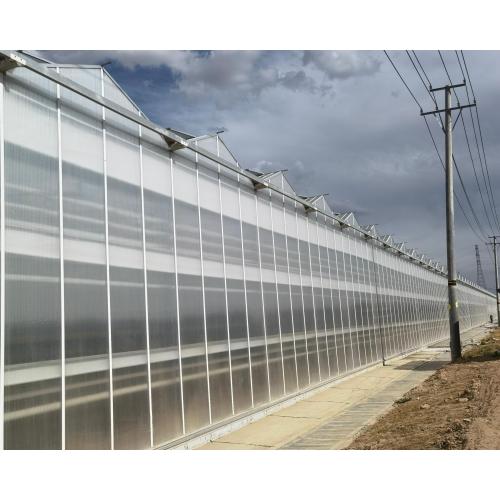 Glass Greenhouse Equipped with Roof Washer