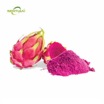 High Quality Dragon Fruit Powder for Dietary Use
