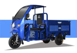 cheap to use electric tricycle with a roof
