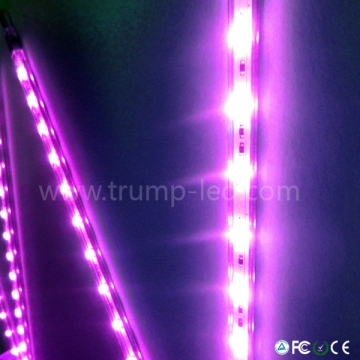 Customized Magic Color SMD 5050 Rigid LED Strip Light