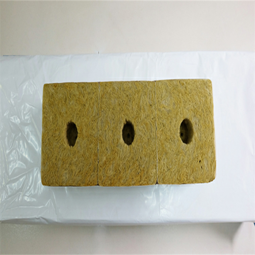 Pertanian Hydroponic Rock Wool Grow Cubes