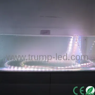 12v smd led ribbon strips