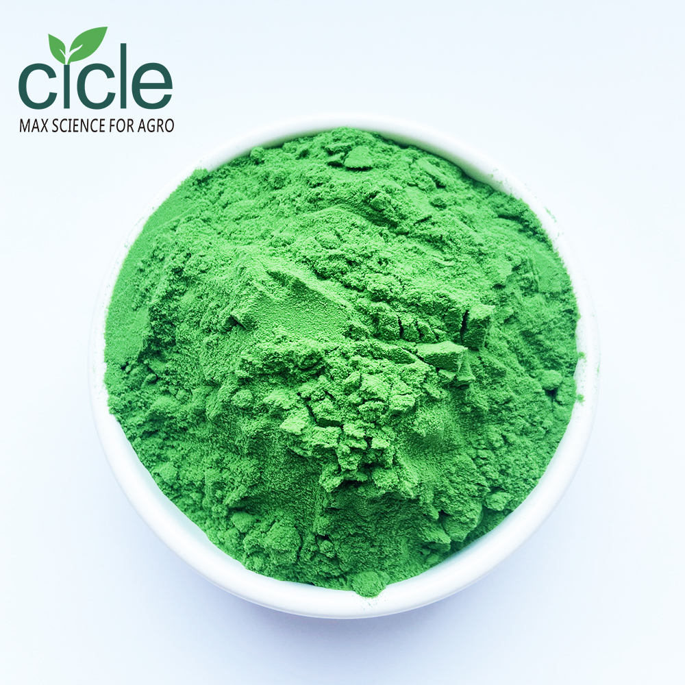 Green seaweed extract