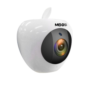 Mini Fisheye HD Wireless CCTV Camera with Monitor