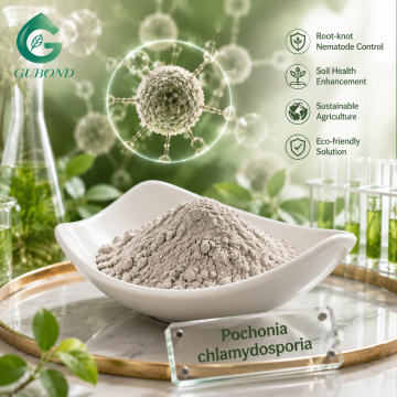 Pochonia Chlamydosporia مسحوق فطريات التحكم البيولوجي
