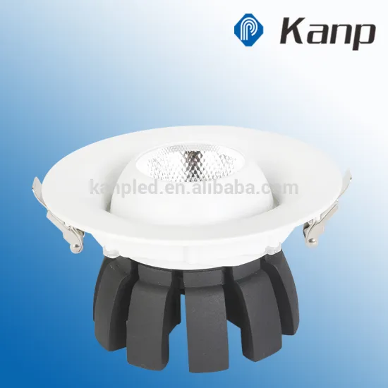 30W New Design Middle Adjustable Led Ceiling White Round COB Downlights