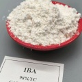 กรดอินโดเลบิวทีริก IBA - ผงรูทในอียิปต์