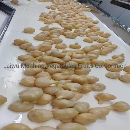 Pickled Salted Sweet Garlic