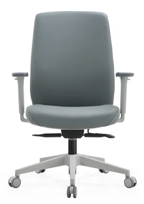The Leather office chair