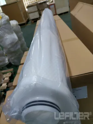 Pentair water filter cartridge ALN01-60B