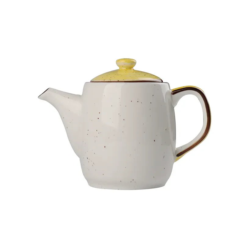 Fashion Ceramic Teapot Set with Tea Cup and Saucer