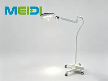 2026 Promotion Dental Mobile Exam Light, High CRI Eye-Care LED Lamp
