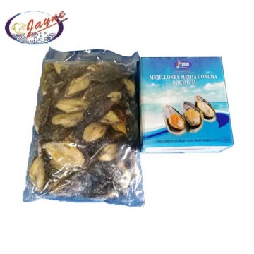 Bulk Products wholesale imported from China frozen high quality half shell cooked mussel