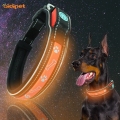 Mjuk Eva Night Security Led Light Up Dog Collar