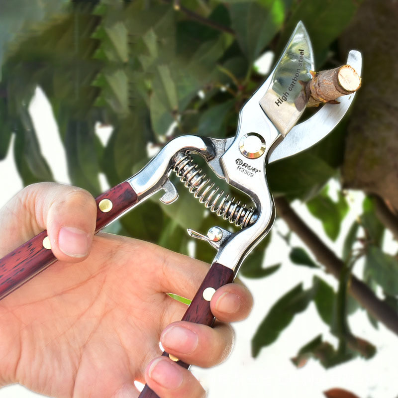 Professional Orchard Gardening Hand Tools Garden Scissors Bonsai Plant Branches Trimming Bypass Pruner SK5 Pruning Shears