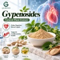 Gypenosides 20%–98% Extrato de Gynostemma pentaphyllum para formulações cosméticas e alimentícias