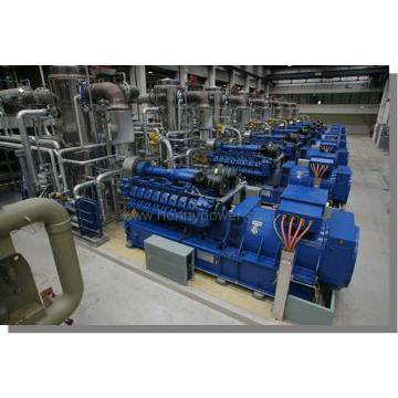 Honny 400kW-100MW Brand MWM Farm Biogas Generator