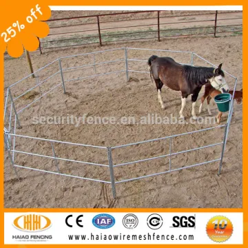 Heavy duty portable galvanized pipe used horse corral panels(Factory)