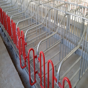 Carbon steel hollow section round swinery and galvanized pigsty fence table