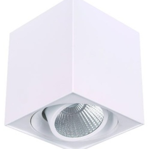 Surface Mounted White 10W LED Downlight