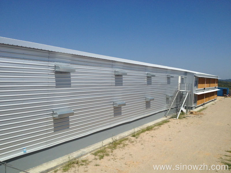 Prefab steel structure chicken shed house with equipment