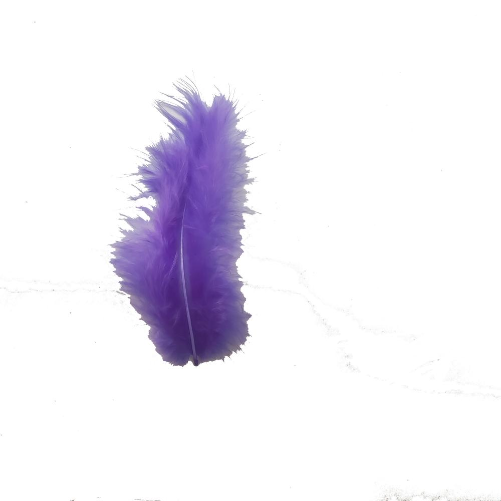 Purple Feather