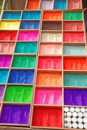 Medical device powder coatings