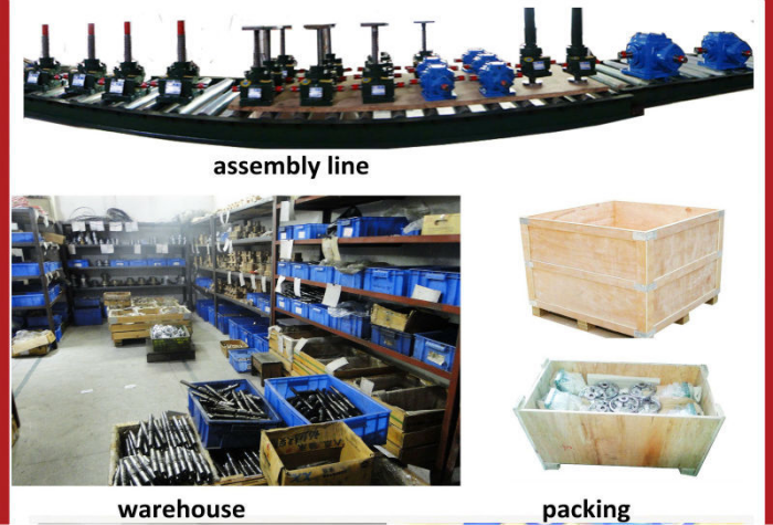 Worm gear machine screw jacks 