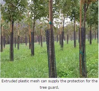 PVC Plastic wire mesh for making crab trap