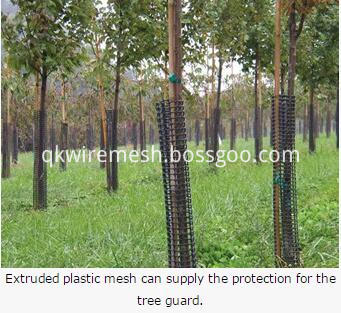 extruded plastic mesh can supply the tree