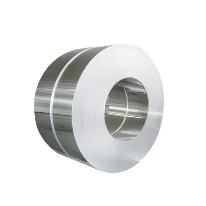 Sus304 Stainless Steel Strips
