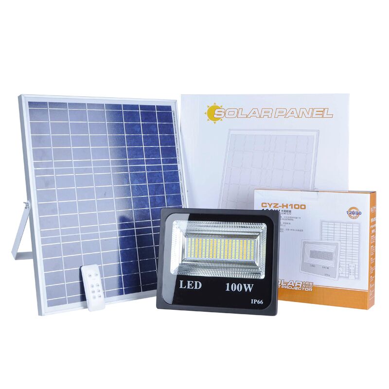 Dual White Color Outdoor Solar LED Flood Light