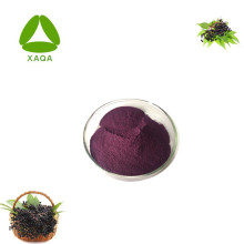 Freeze Dried Elderberry Black Elderberry Extract Powder