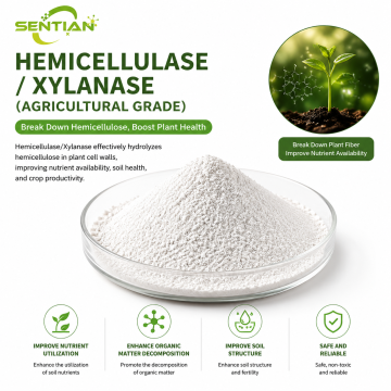 Agricultural Grade Xylanase Enzyme Ingredient Powder