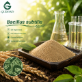 Polvo probiótico Bacillus Subtilis para nutrición animal