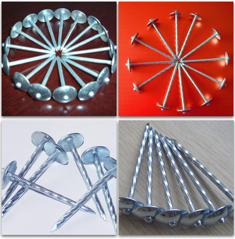 common wire nails roofing nails galvanized