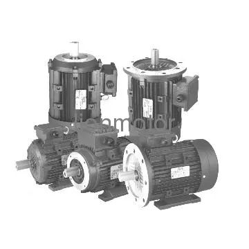 Aluminium Housing Three Phase MS Motors